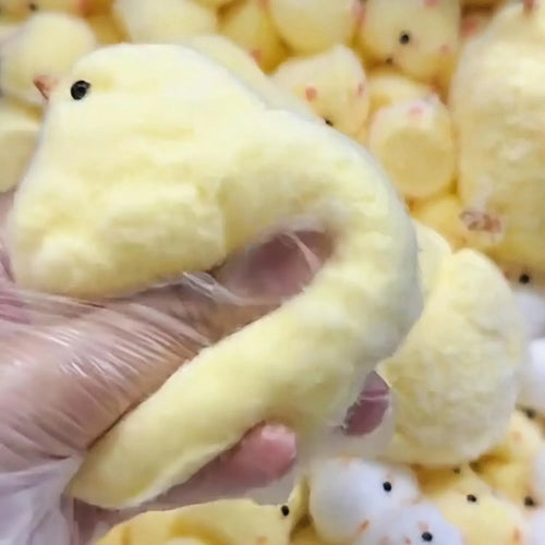 Sweet Chick