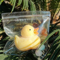Yellow Duck